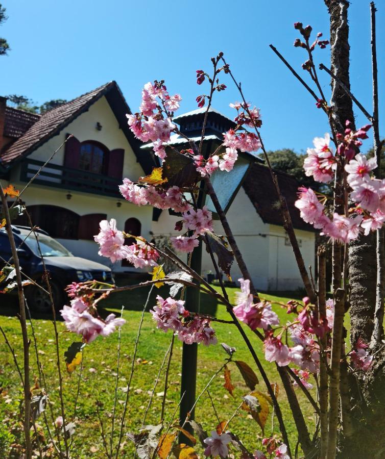 Willa Marcita Chale Monte Verde  Zewnętrze zdjęcie